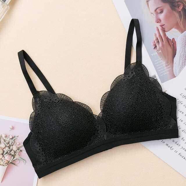 Áo lót nữ ren đệm mỏng hoa baby không gọng nâng ngực mã 8288