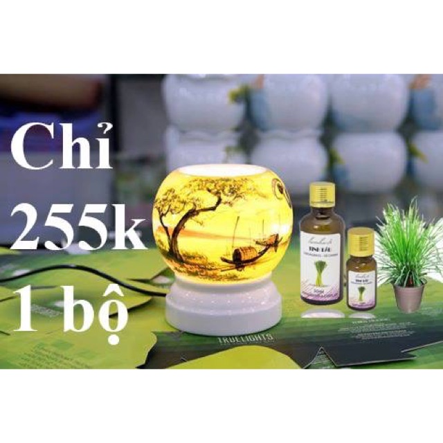 Tinh dầu tràm và đèn xông tinh dầu