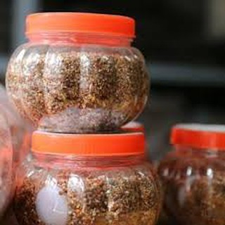 Chẩm chéo Tây Bắc tranhuu87