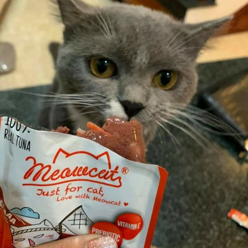 Combo 12 gói Sốt cá ngừ cho mèo Meowcat tuna red meat 70g