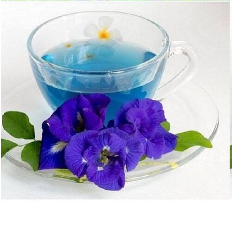 HOA ĐẬU BIẾC SẤY KHÔ 25G ĐẸP DA GIẢM MỠ TIỂU ĐƯỜNG HUYẾT ÁP CAO TIM MẠCH