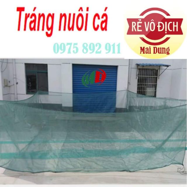 Tráng nuôi cá trê đồng