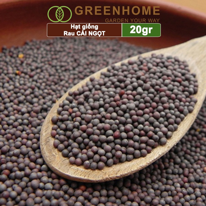 Hạt giống rau cải ngọt Greenhome, gói 20g, dễ trồng, thu hoạch nhanh R03