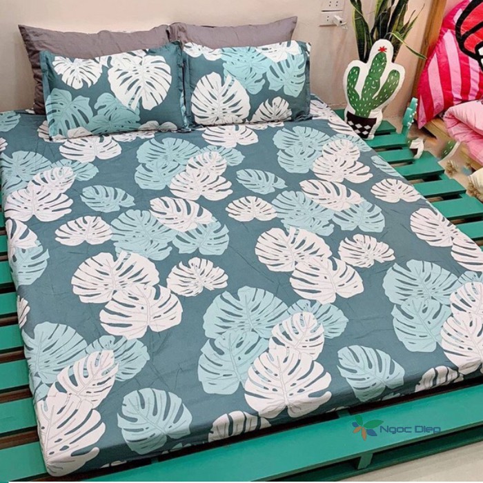 Bộ ga gối poly cotton mẫu lá khoai