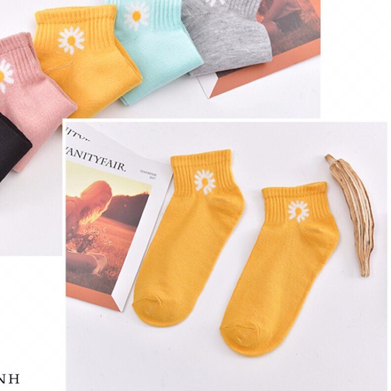Set 10 đôi tất hoa cúc hotrend