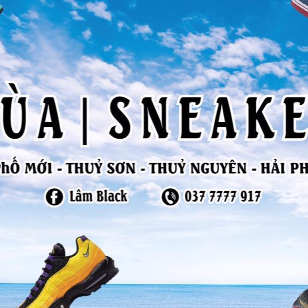 Rùa Sneaker