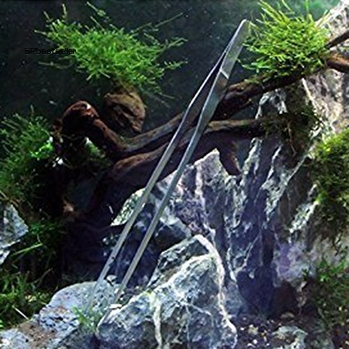 Nhíp bằng thép không gỉ dùng trồng cây thủy sinh