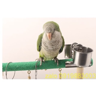 Cầu Đứng Cho Vẹt Bằng Gỗ