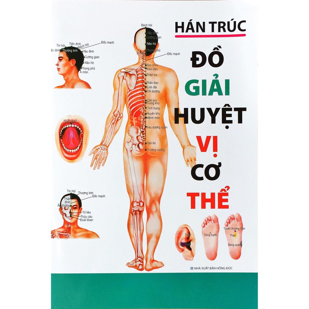 Sách - Đồ giải huyệt vị cơ thể - Tác giả Hán Trúc