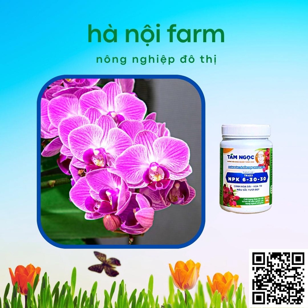 Phân bón lan NPK 6-30-30 Tám ngọc 100g