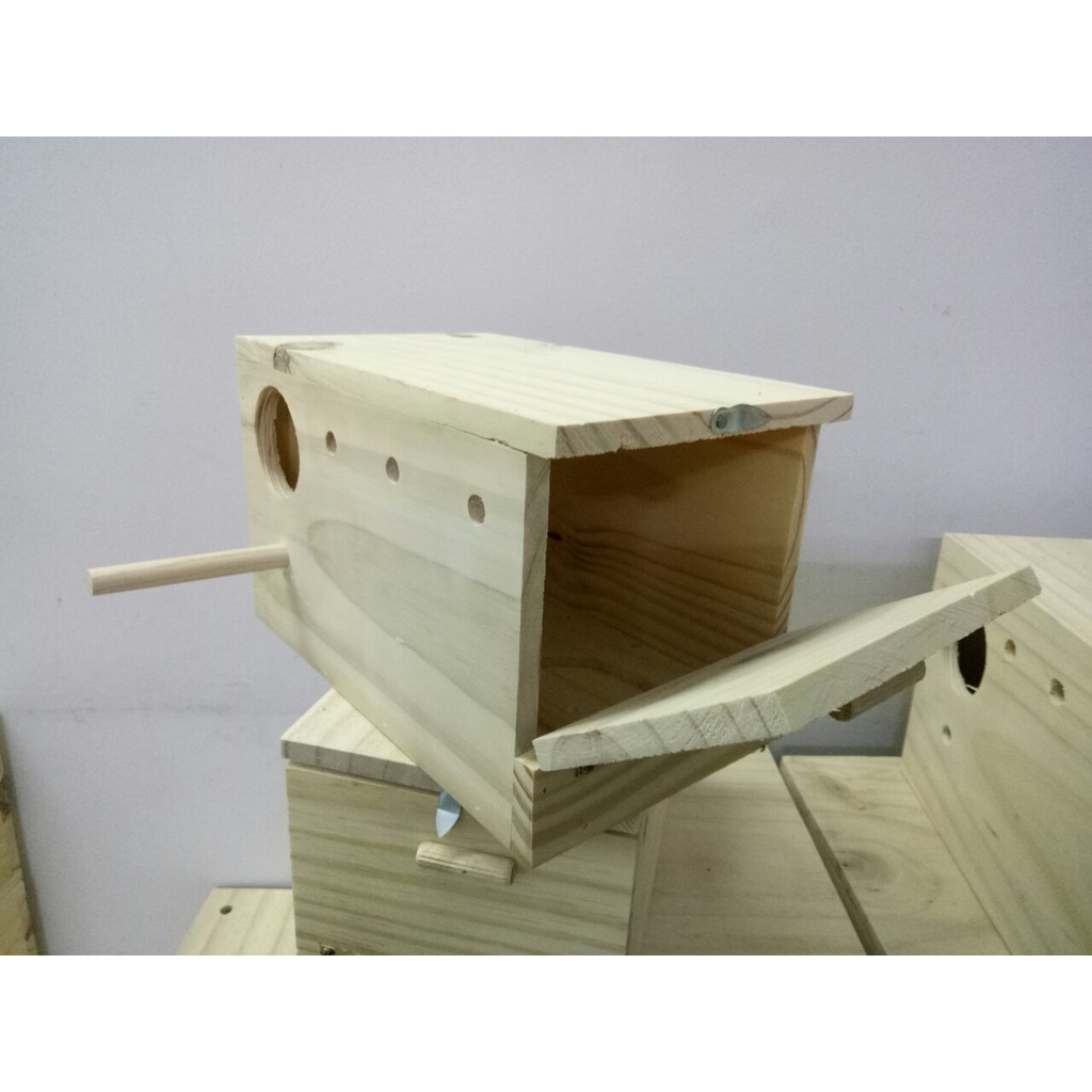 TỔ ĐẺ COCKATEIL