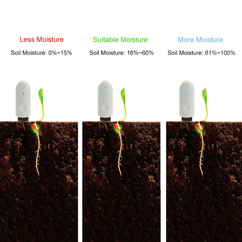 Máy Kiểm Tra Đất Trồng Cây Kiểm Tra Độ Ẩm Tiện Dụng Cho Gia Đình