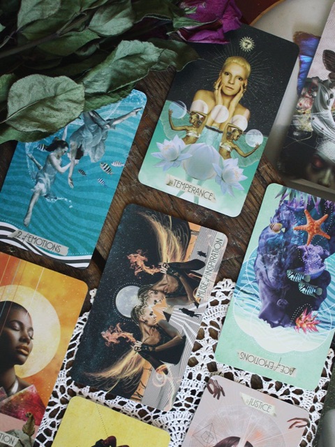 Bộ bài tarot The Muse Tarot - Order trực tiếp từ Hay House