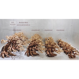 LŨA BONSAI CHO HỒ THỦY SINH SIZE NHỎ