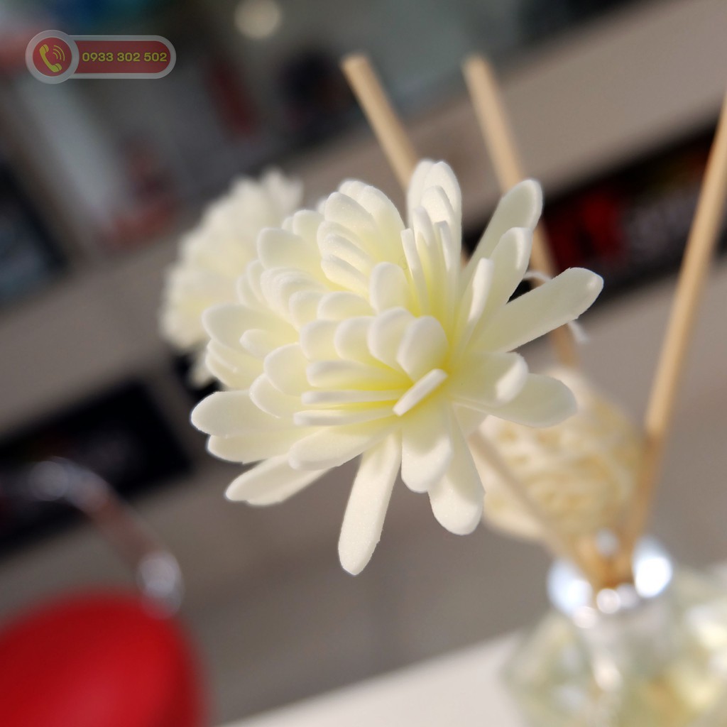 [RẺ] Nước hoa để bàn, để phòng khách – TỐT | BigBuy360 - bigbuy360.vn