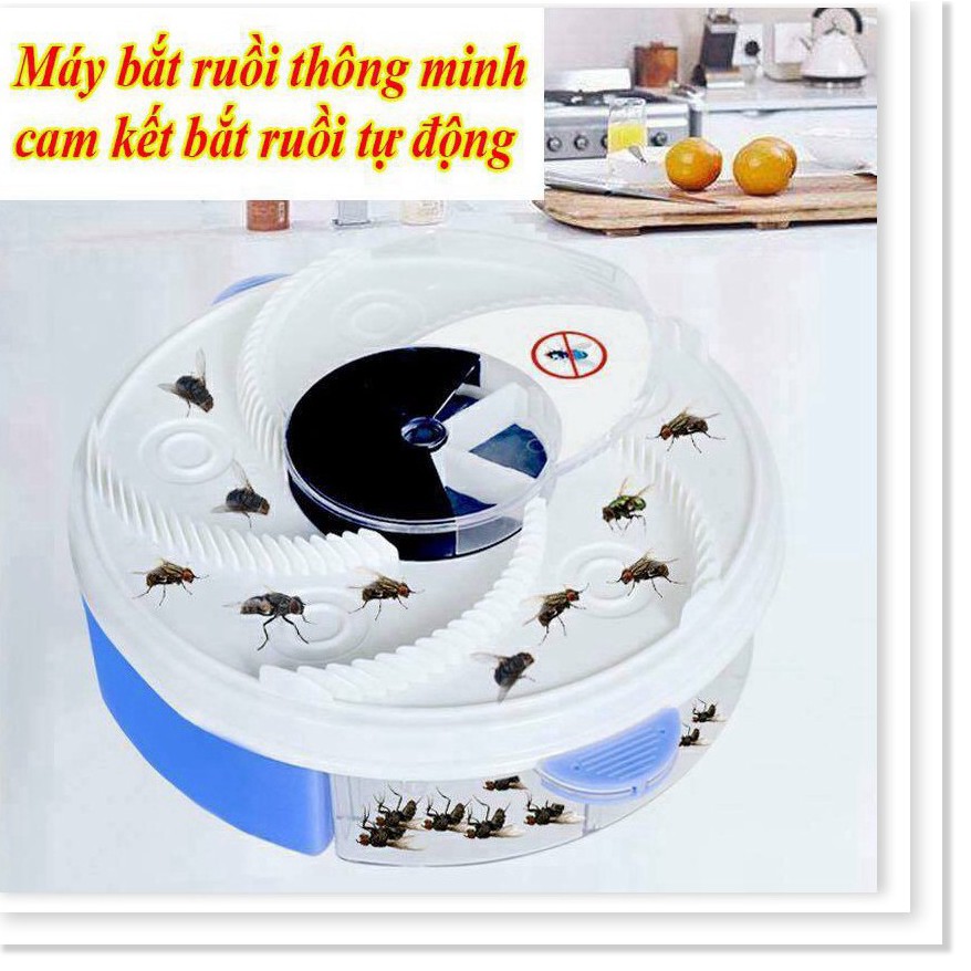 Máy bắt ruồi thông minh