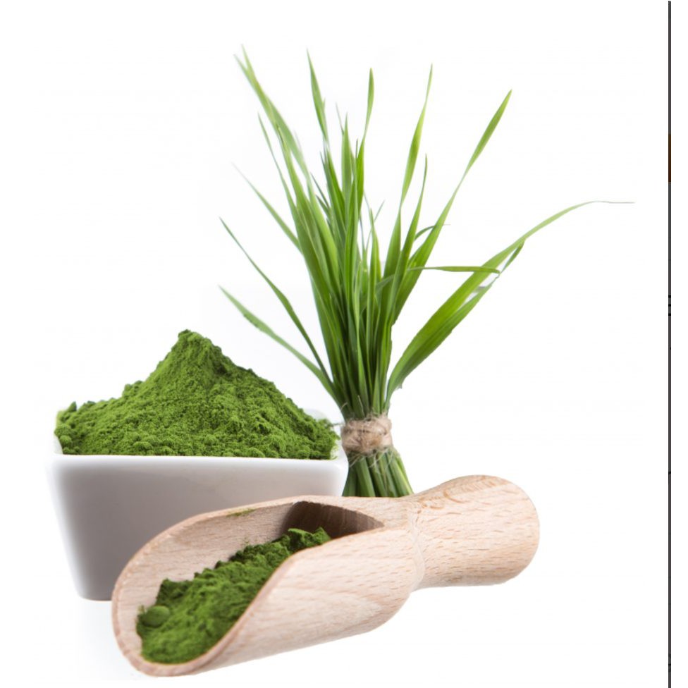 Hạt Cỏ Lúa Mì Hữu Cơ Organic WheatGrass Seeds Sottolestelle 500g