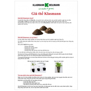 Giá thể ươm hạt Klasmann TS2 / Peat Moss 1000gram