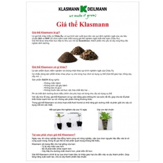 Giá thể ươm hạt Klasmann TS2 (đỏ)/ Peat Moss 1000gram (1kg)