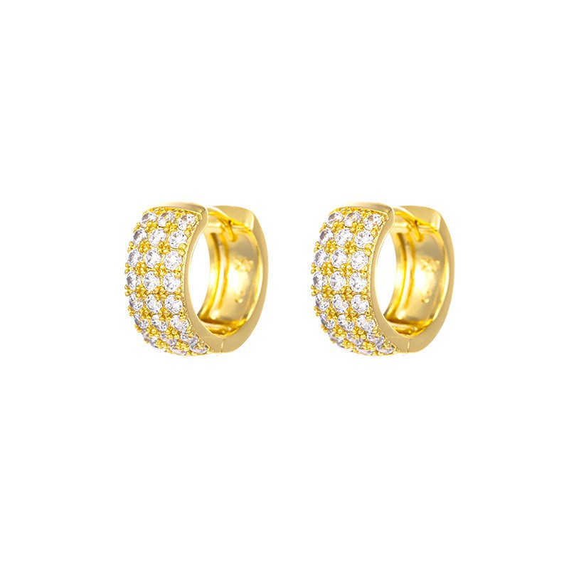 Bông Tai Nữ Mạ Vàng 24K, Thiết Kế Đính Đá Zircon Sang Trọng - XPBT22