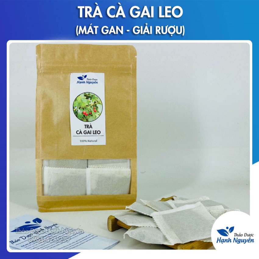 Trà cà gai leo (bịch 50 túi lọc) thanh lọc cơ thể - Thảo Dược Hạnh Nguyên