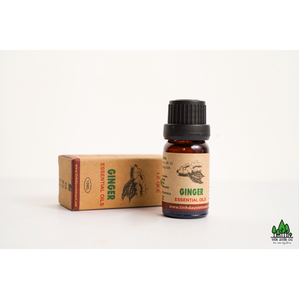 TINH DẦU CỦ GỪNG 10ML