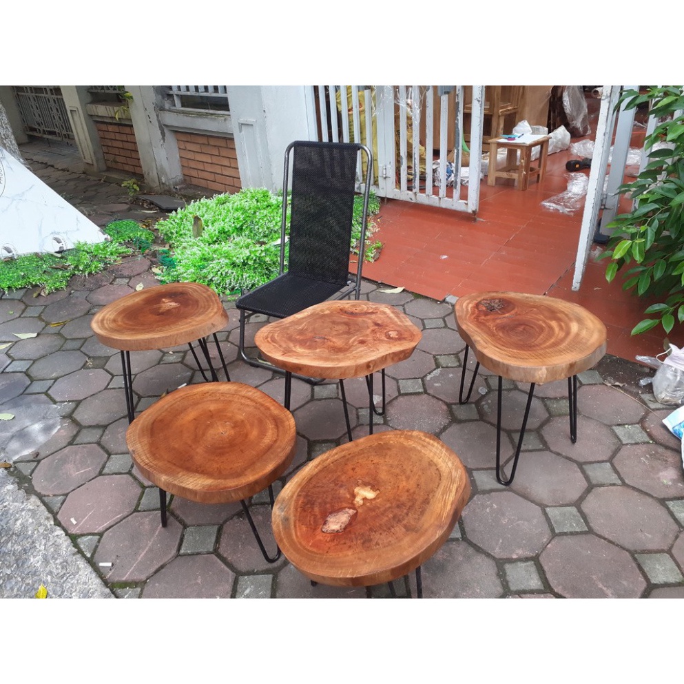 Đôn deco làm ghế gỗ xà cừ chân hairpin cao 40 - 2 thanh (249)| kệ gỗ nguyên tấm để cay| bàn gỗ tự nhiên nguyên tấm