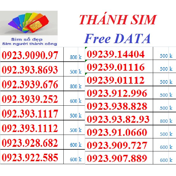 H24. <<SIM CỦA NGƯỜI THÀNH CÔNG>> THÁNH SIM