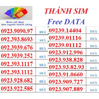H24. <<SIM CỦA NGƯỜI THÀNH CÔNG>> THÁNH SIM