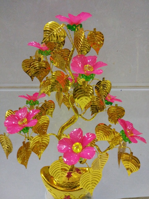 Lá đồng tiền ( 1 gói 100 gram)