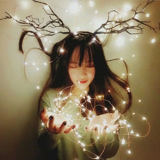 (5 mét) Đèn Led PIN đom đóm Fairy light màu vàng nắng, 3 pin con thỏ(CHƯA GỒM PIN)