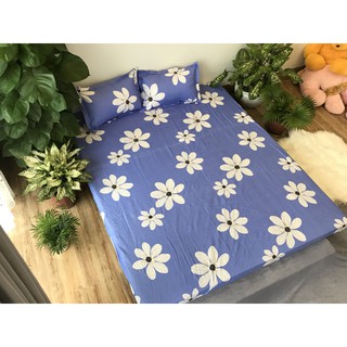 BỘ GA GỐI POLY 3 MÓN 1M6X2M