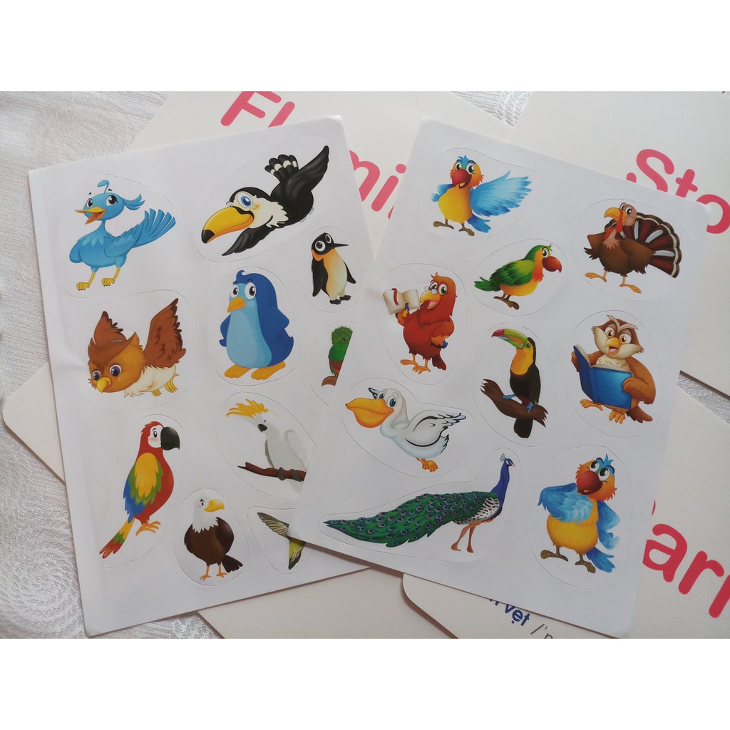 Flashcard Dạy Trẻ Theo Phương Pháp Glenn Doman - Các Loài Chim
