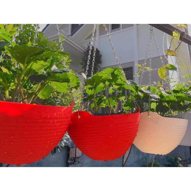 Chậu treo dây xích sắt ,hình sóng bát đủ màu siêu bền