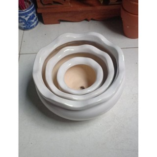 Bộ 3 chậu sứ trắng miệng bèo