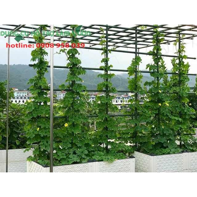 Ống thép bọc nhựa của Nhật phi 20 dài 240cm set 10 ống chuyên dùng làm giàn cho cây leo, khung trồng cây