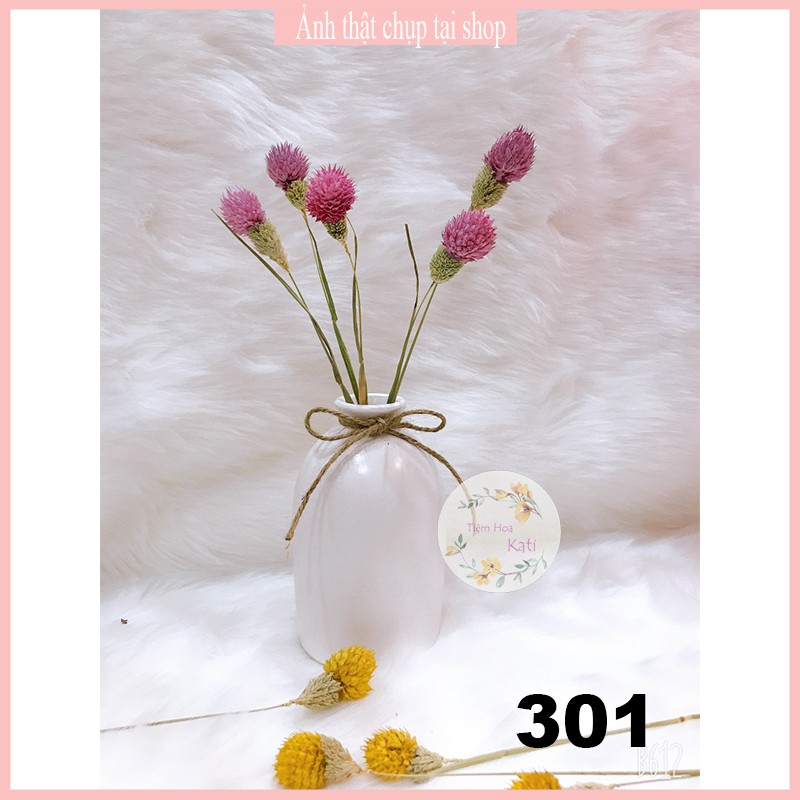 Hoa khô - THIÊN NHẬT - Decor-  trang trí cafe, trà chanh, trà sữa, quán ăn, hoa baby.