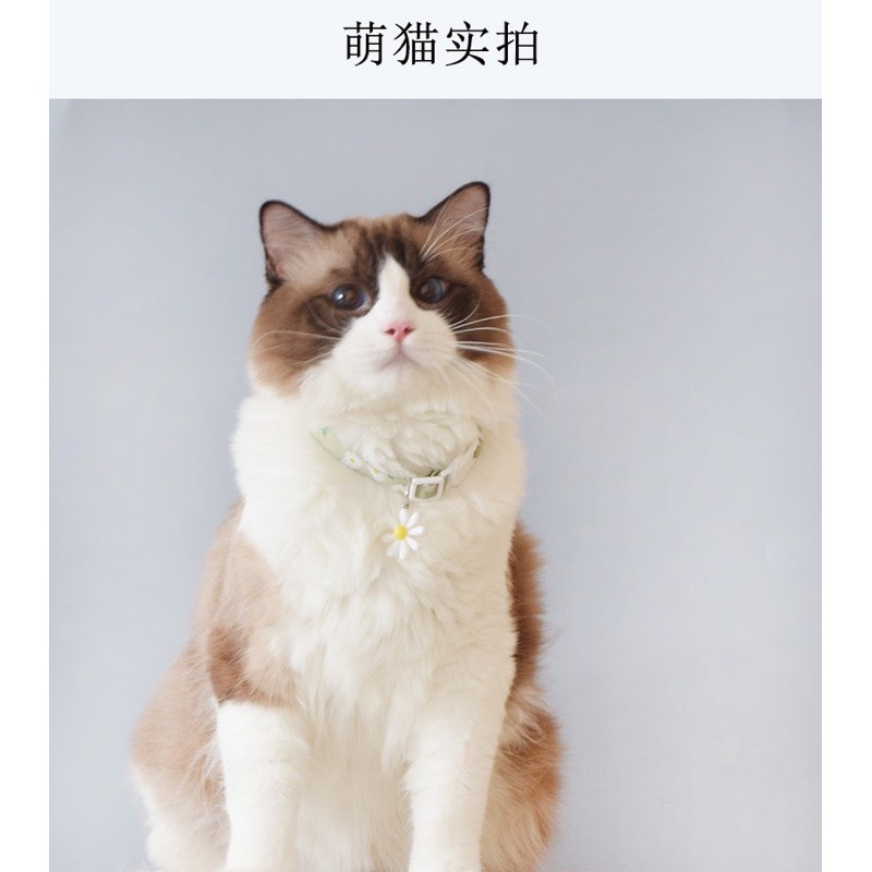 Vòng cổ hoa cho thú cưng