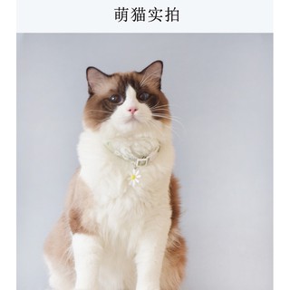Vòng cổ hoa cho thú cưng