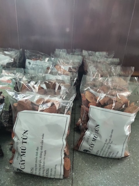 1kg Rễ Cây Mú Từn - Cù boong lậu