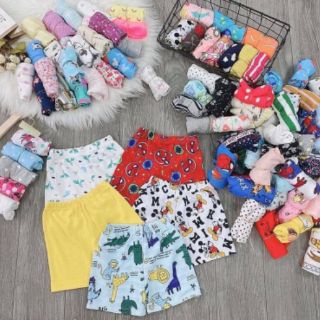 Combo 10 Quần Đùi Bozip Mềm-Đẹp Cho Bé (976 )