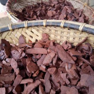 BỘT HÀ THỦ Ô ĐỎ 500g