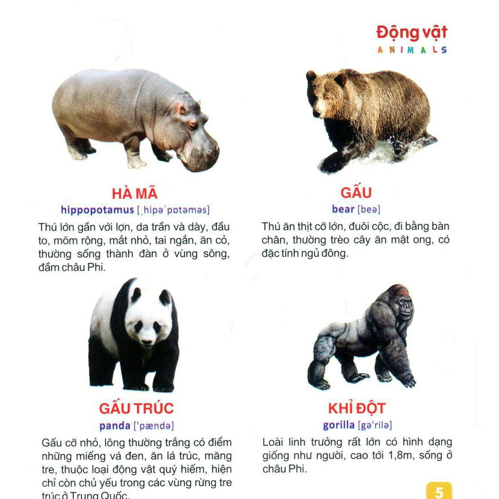 Sách Từ Điển Tranh Dành Cho Thiếu Nhi - Động Vật, Cá