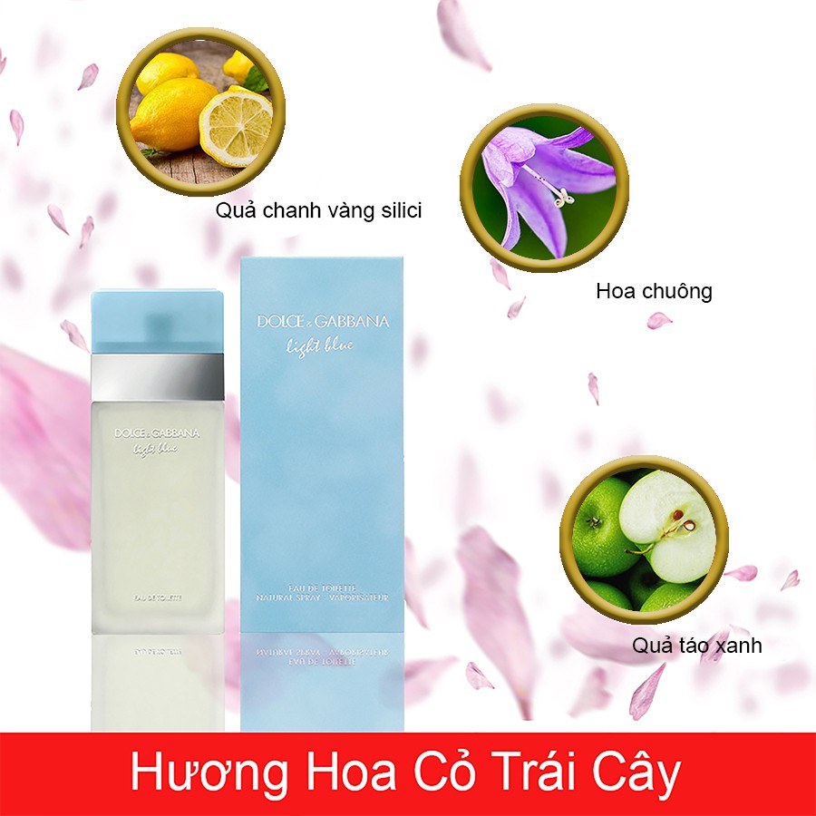 Nước Hoa Dolce Gabbana Light Blue For Women Chai Full