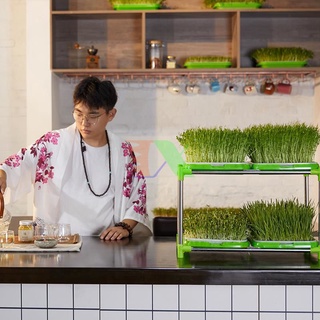 Bộ kit trồng rau mầm thủy canh 2 tầng 4 khay (kệ, khay, vòi xịt, bánh xe, hạt giống)