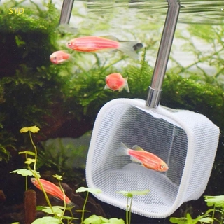 Vợt lưới bắt tôm cá 3d bằng thép không gỉ dành cho bể cá
