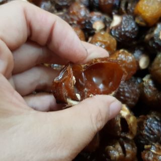 bồ hòn loại 1