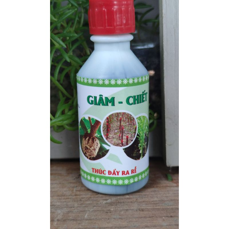 Siêu ra rễ chuyên dùng Giâm- Chiết cây (lọ 50ml)