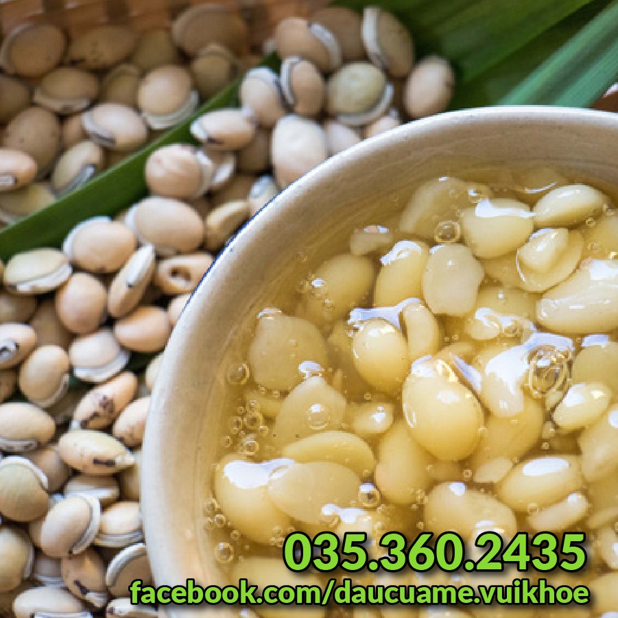 Đậu ván hữu cơ, đậu quê, lựa sạch