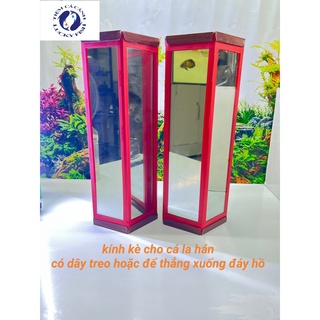 Kính kè cá la hán 5 mặt có dây treo hàng chuẩn , trong , siêu rỏ nét